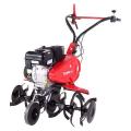  PUBERT TERRO 60 BC2
